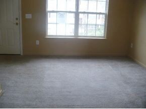 1143 Snowden Terrace, Johnson City, TN 37601 - photo 3