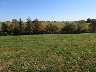 225 Log Cabin Ln, Ewing, KY 41039 - photo 4