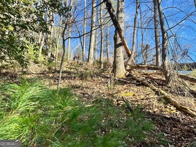 0 Corinth Church Rd unit 10656398, Cleveland, GA 30528 - photo 2