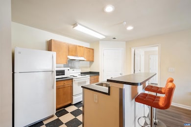 195 Yellowstone Dr unit 103, Charlottesville, VA 22903 - photo 6