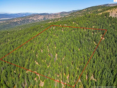 NNA Usfs 2550 (40 Acres), Blanchard, ID 83804 - photo 7