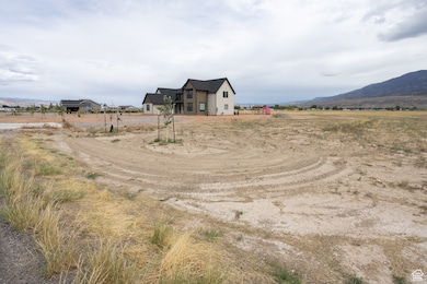 1025 S 800 E, Elsinore, UT 84724 - photo 3