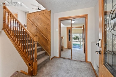 Stairs featuring a textured ceiling and carpet floors