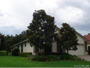 Beautiful Magnolia Trees
