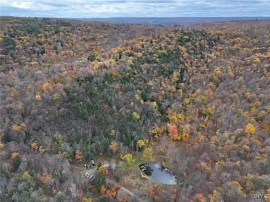 936 California Hollow Rd, Bolivar, NY 14715 - photo 7