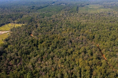 06-DJI_0019