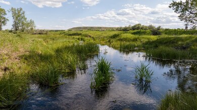 Wetland