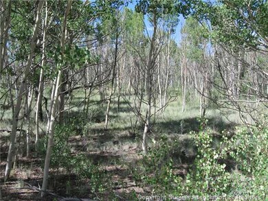 163 Mannlicher Rd, Como, CO 80432 - photo 4