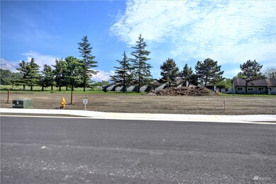 0 XXX Colton Ln unit Lot 6, Everson, WA 98247 - photo 3