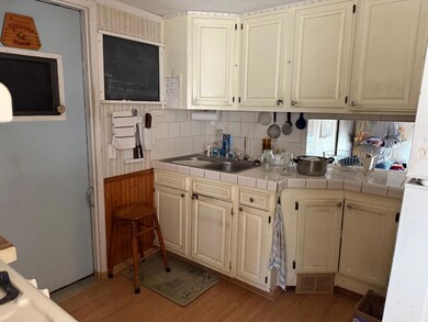 310 N Main St, Pine Island, MN 55963 - photo 4