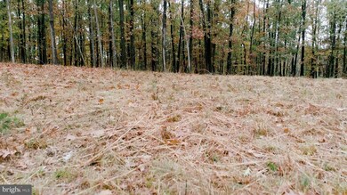 0 Siler Rd unit VAFV154184, Winchester, VA 22603 - photo 6