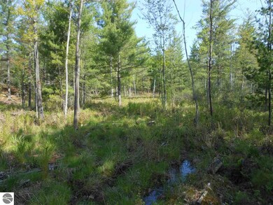 0 Powerline Rd unit 1847246, Whittemore, MI 48770 - photo 5