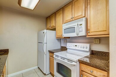 0002-Camelback (2)