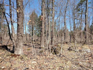 TBD Black Creek (West) Rd, Skanee, MI 49962 - photo 3