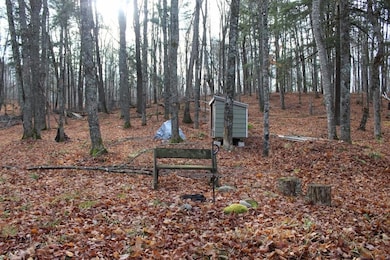 762 Moonlight Ln, Blackwell, WI 54103 - photo 6