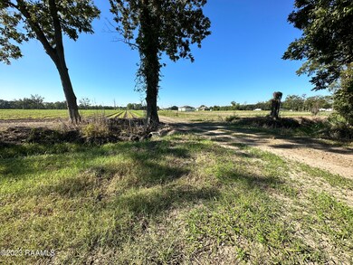 0 N Barn Rd unit 23008960, Breaux Bridge, LA 70517 - photo 6