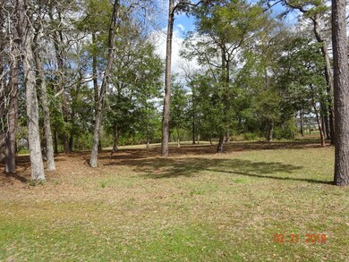 DSC00585