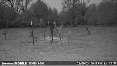 TBD County Road 1103, Athens, TX 75751 - photo 4