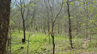 0 White Oak Rd unit RTC2004925, Stewart, TN 37175 - photo 3