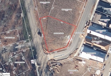 103 Burrough St unit (Lot 173), Greenville, SC 29615 - photo 5