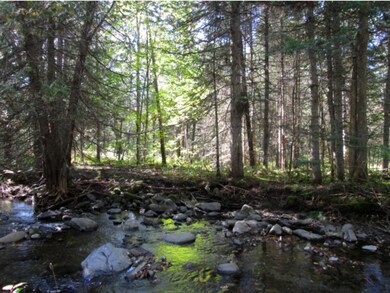 0 Dostie Dr, Stewartstown, NH 03576 - photo 7