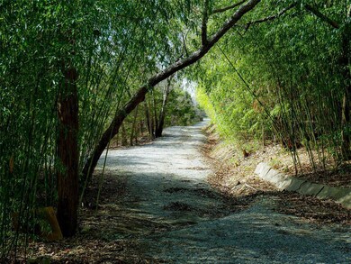 545 Lakeview Dr, Denison, TX 75020 - photo 5