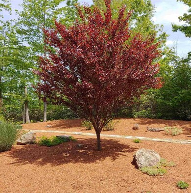 39 Cadran Crossing, Milford, NH 03055 - photo 4