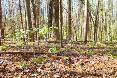 Holly trees scattered throughout!