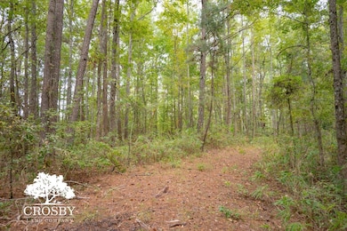 106 Millhouse Rd, Olar, SC 29843 - photo 5