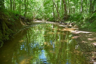 2680 Long Branch Rd unit (Crittenden Co. KY 5, Sturgis, KY 42459 - photo 4