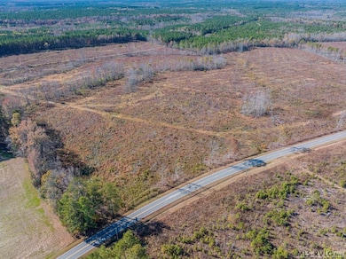 0104199 Bowers Rd, Littleton, NC 27850 - photo 5