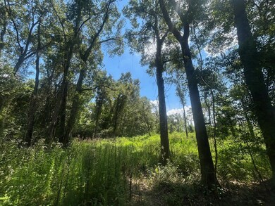 0 Creel Rd unit 23835353, Theodore, AL 36582 - photo 7