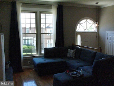 3616 Ransom Place, Alexandria, VA 22306 - photo 6