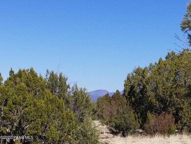 Lot 264 Juniperwood Ranch, Ash Fork, AZ 86320 - photo 3