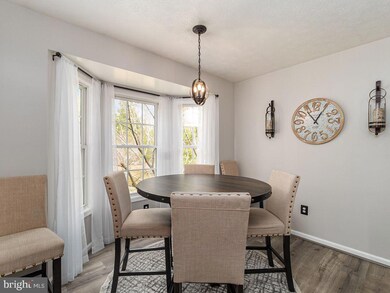 10411 Hidden Lake Ln, Rixeyville, VA 22737 - photo 4