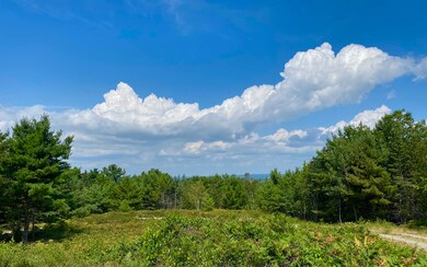 IMG_4508