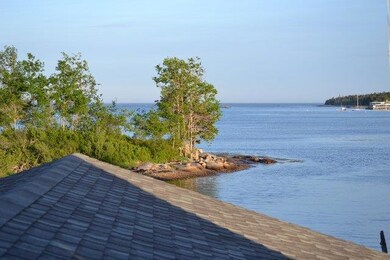View from Family room