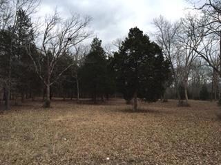 1 Ledbetter Rd, Shelbyville, TN 37160 - photo 3