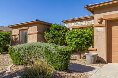 Front Landscaping View