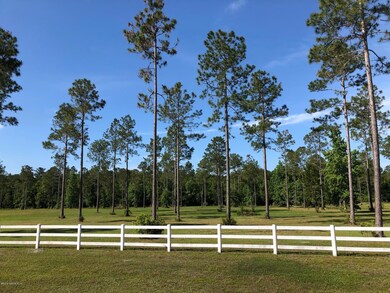 145 Ashton Oaks Dr, Saint Augustine, FL 32092 - photo 4