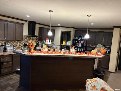 6874 White Walnut Rd, Pinckneyville, IL 62274 - photo 3