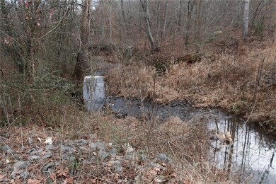 435 Misery Ridge Trail, Mill Spring, NC 28756 - photo 3