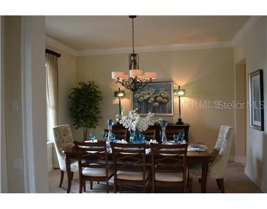 15908 Oakleaf Run Dr, Lithia, FL 33547 - photo 4