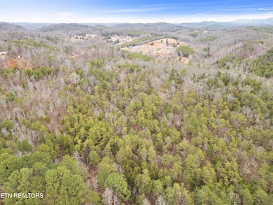 3940 Allegheny Loop Rd, Maryville, TN 37803 - photo 7