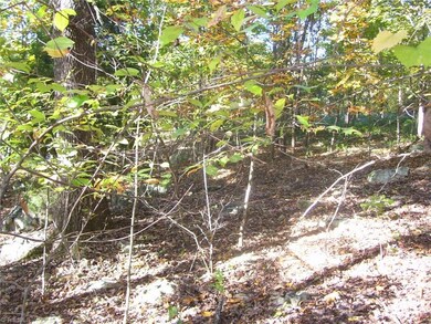 0 Thayer Dr, Asheboro, NC 27205 - photo 7