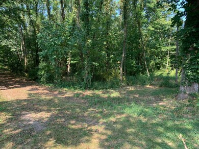 0 Sandridge Rd, Sawyer, MI 49125 - photo 3