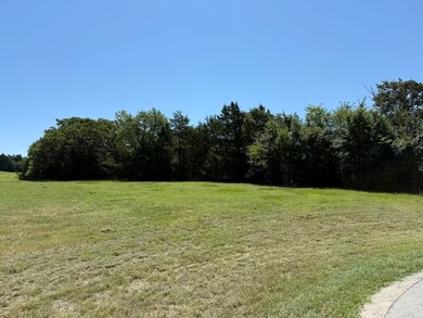 44 Dublin Ct, Gordonville, TX 76245 - photo 6