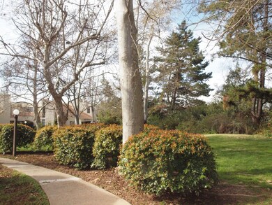 Walk-way from unit