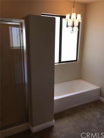 Master tub and separate shower !
