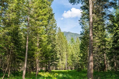 110 Tranquil Trail, Columbia Falls, MT 59912 - photo 5